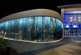 Night view of the Giant Kelp Forest image in glass that adorns the front of the Aquarium of the Pacific in Long Beach California. The 2400 megapixel kelp forest scene was photographed by underwater imaging specialist Jim Hellemn at San Clemente Island.