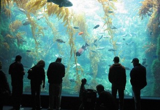 Aquário Birch Aquarium em La Jolla San Diego